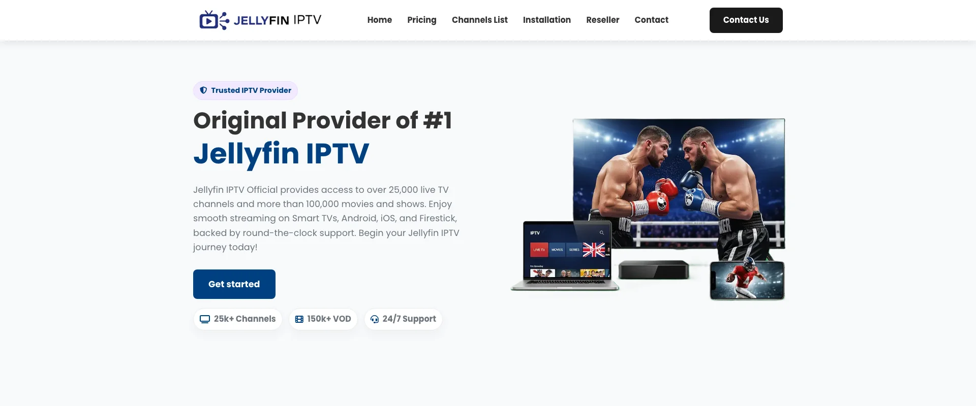 JellyFin IPTV interface showing streaming quality and channel guide